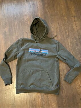 Patagonia Olive Green Pullover Hoodie with Multicolor Logo
